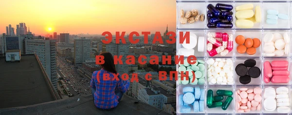 стаф Дмитровск