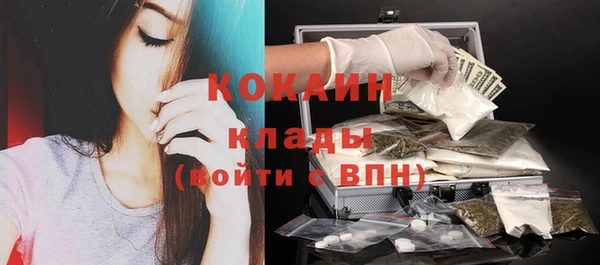 стаф Дмитровск