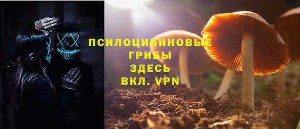 spice Дмитриев