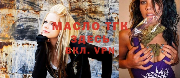 spice Дмитриев