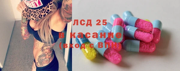 spice Дмитриев
