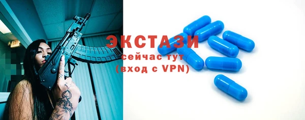 стаф Дмитровск