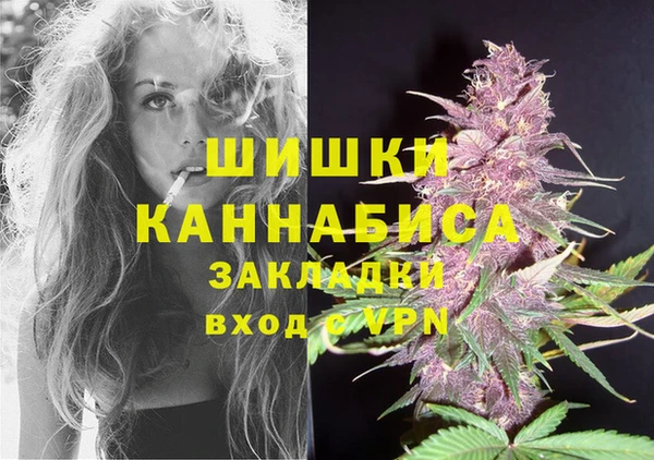 spice Дмитриев