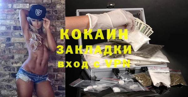 стаф Дмитровск