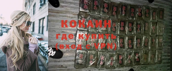 стаф Дмитровск