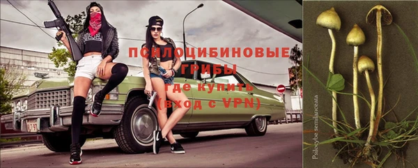 2c-b Дмитров