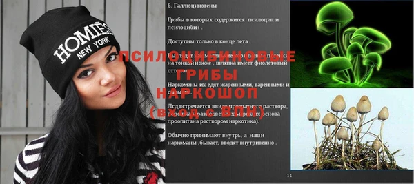 spice Дмитриев