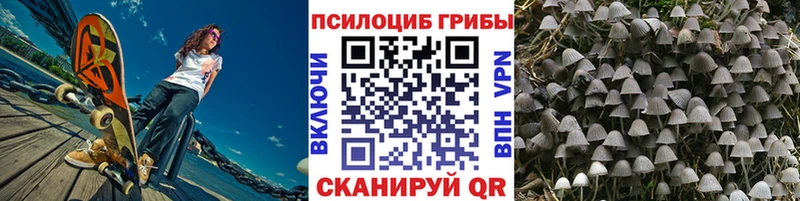 Галлюциногенные грибы Psilocybine cubensis  закладка  Канаш 